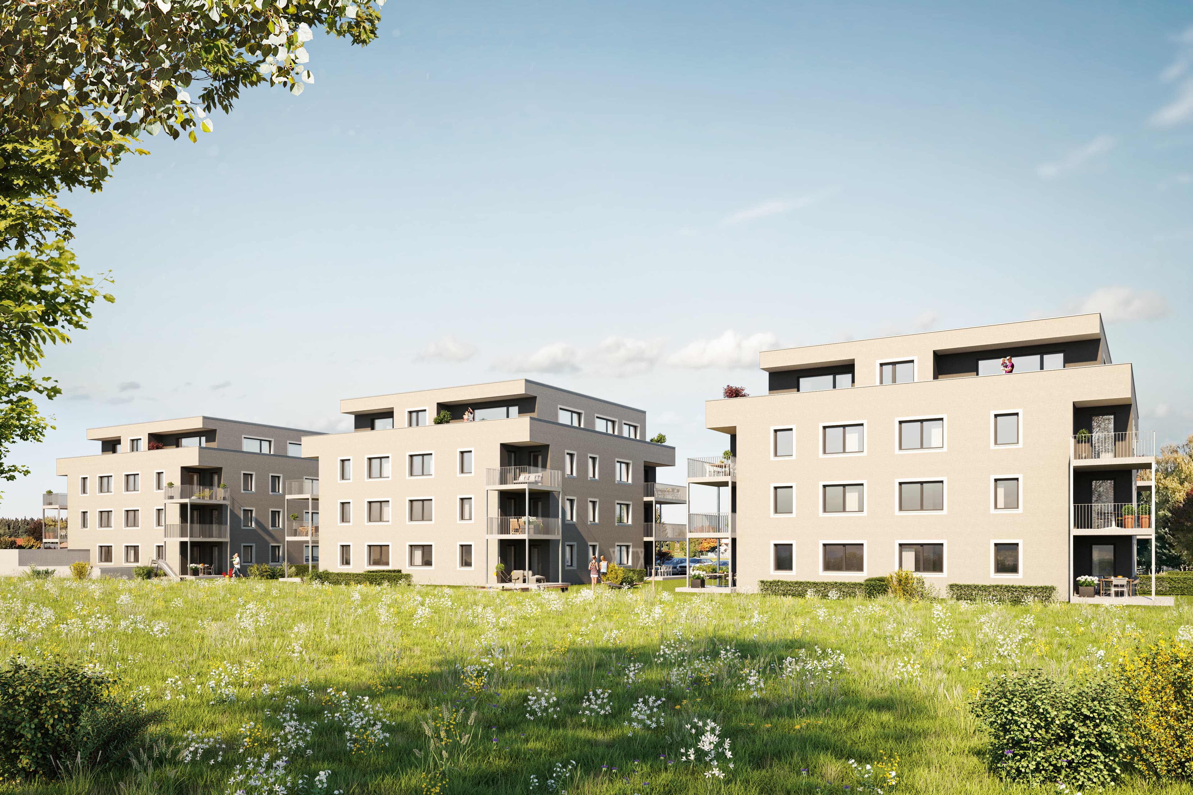 Neubau in Isny